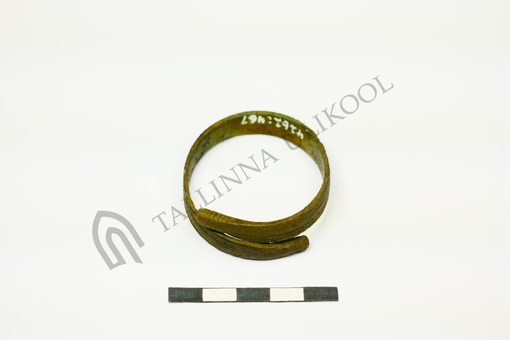 AI-4262:467 Virunuka tarandkalme (f. Mari-Liis Posti)