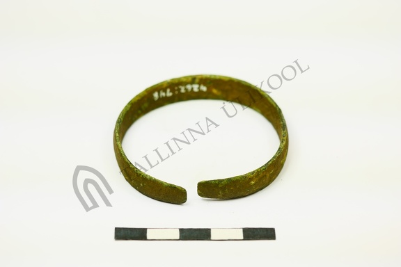 AI-4262:748 Virunuka tarandkalme (f. Mari-Liis Posti)