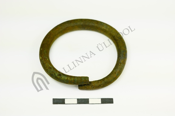 AI-4262:1095 Virunuka tarandkalme (f. Mari-Liis Posti)