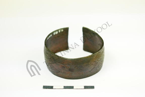 AI-5295:XXVI:191 Raatvere kalme (f. Mari-Liis Posti)