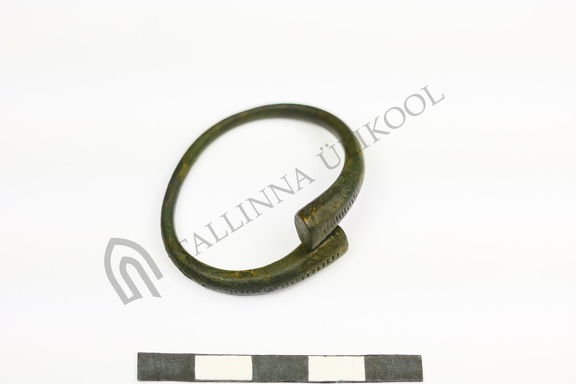 AI-5490:437 Rebala Lastekangrute kivikalme (f. Mari-Liis Posti)