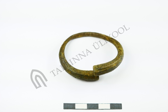 AI-5490:445 Rebala Lastekangrute kivikalme (f. Mari-Liis Posti)