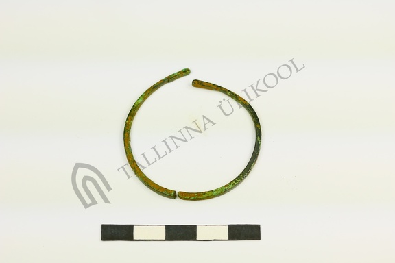 AI-6003:220, 210 Tõugu kivikalme (f. Mari-Liis Posti)
