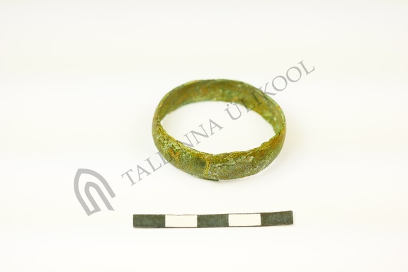 AI-2533:104 Nurmsi tarandkalme (f. Mari-Liis Posti)