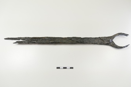 AI-5295:XV:154 Raatvere kalme, pihid (f. Mari-Liis Posti)