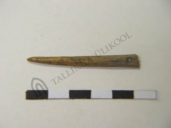 AI-3578:1854 Lõhavere linnamägi, luunõel (f. Mari-Liis Posti)