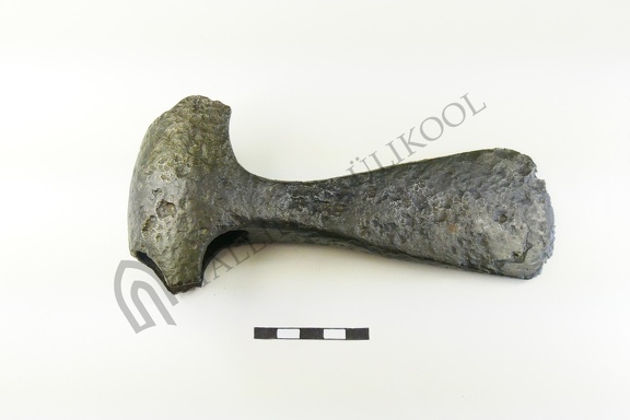 AI-3756 Kaavere juhuleid (f. Mari-Liis Posti)
