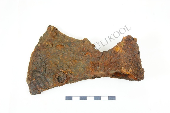 AI-5101:CCXLVIII:10 Siksali kalme (f. Mari-Liis Posti)
