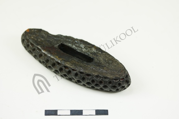 AI-7245:1 Ruu asula (f. Mari-Liis Posti)