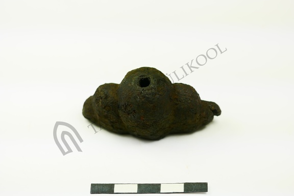 AI-6961:10 Raasiku kalme (f. Mari-Liis Posti)