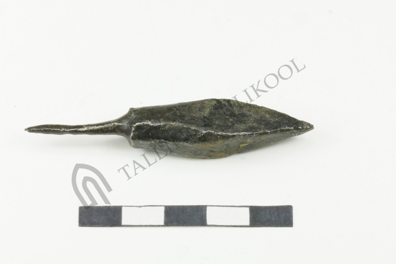 AI-4036:III:179 Otepää linnamägi (f. Mari-Liis Posti)