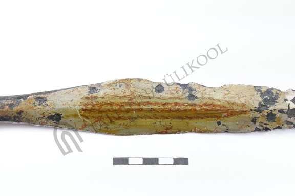 AI-K 85:113 Saaremaa juhuleid (f. Mari-Liis Posti)