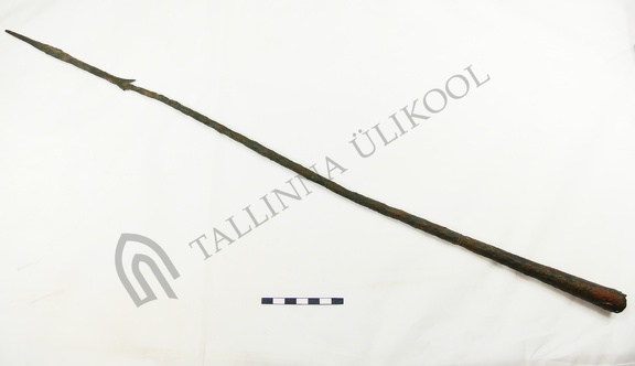 AI-K 85:115 Saaremaa juhuleid (f. Mari-Liis Posti)