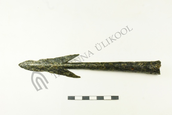AI-2438:4 Käru juhuleid (f. Mari-Liis Posti)