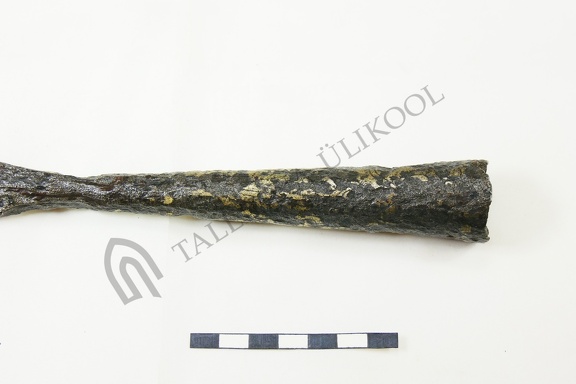 AI-2480 Sõrve juhuleid (f. Mari-Liis Posti)