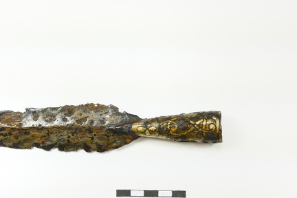 AI-3895:242 Randvere kalme (f. Mari-Liis Posti)