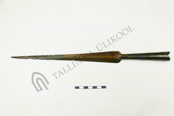AI-4239:1956 Rahu Kalmumäe kalme (f. Mari-Liis Posti)