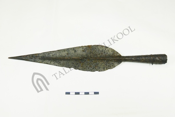 AI-4444:154 Lehmja-Loo tarandkalme (f. Mari-Liis Posti)