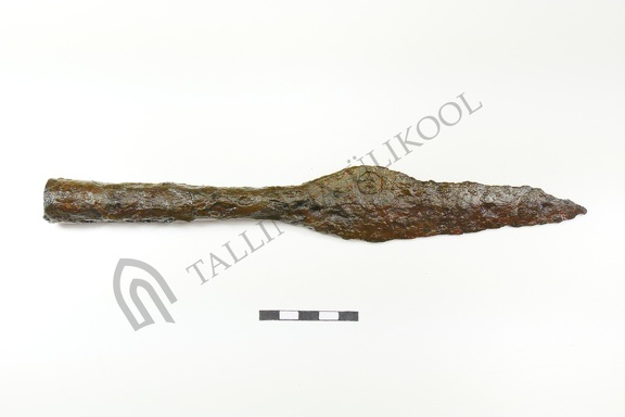 AI-4484:2 Rikassaare peitleid (f. Mari-Liis Posti)