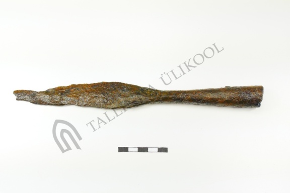 AI-4484:5 Rikassaare peitleid (f. Mari-Liis Posti)