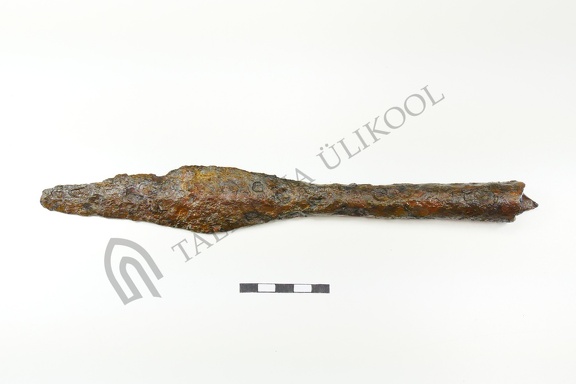 AI-4484:27 Rikassaare peitleid (f. Mari-Liis Posti)