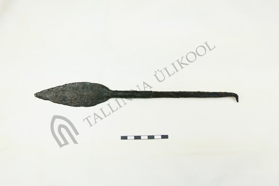 AI-6366:LI:4 Pedäjäalostõ asula (f. Mari-Liis Posti)