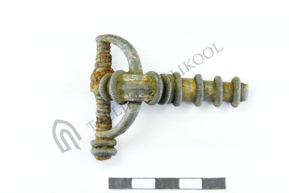 AI-4868:238 Pajumõisa kalme (f. Mari-Liis Posti)