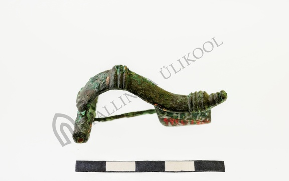 AI-2486:126a Nurmsi tarandkalme (f. Mari-Liis Posti)