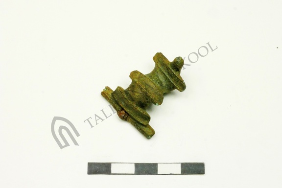 AI-2767:3 Hannuste kalme (f. Mari-Liis Posti)
