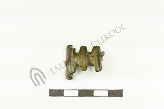 AI-4161:369 Virunuka tarandkalme (f. Mari-Liis Posti)