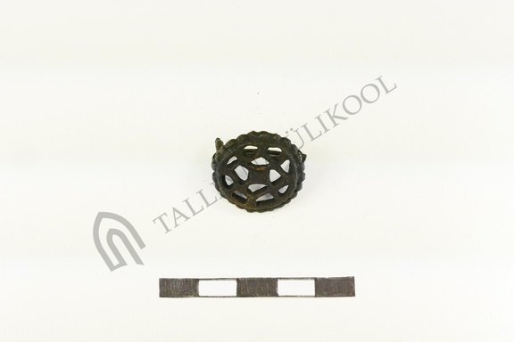 AI-1993:17 Truuta tarandkalme (f. Mari-Liis Posti)
