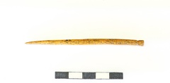 AI-3799:82 Asva linnamägi, silinderpeaga ehtenõel (f. Mari-Liis Posti)