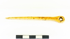 AI-3799:341 Asva linnamägi, lameda laieneva peaga ehtenõel (f. Mari-Liis Posti)