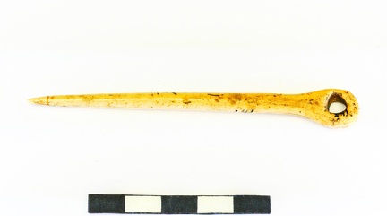 AI-3799:341 Asva linnamägi, lameda laieneva peaga ehtenõel (f. Mari-Liis Posti)