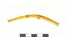AI-3799:136 Asva linnamägi, silinderpeaga ehtenõel (f. Mari-Liis Posti)