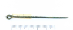 AI-4161:303 Virunuka kalme, aaspeaga ehtenõel (f. Mari-Liis Posti)