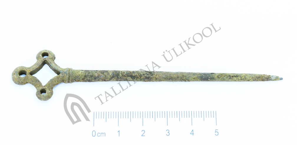 AI-4262:981 Virunuka kalme (f. Mari-Liis Posti)