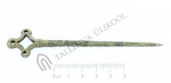 AI-4262:981 Virunuka kalme (f. Mari-Liis Posti)