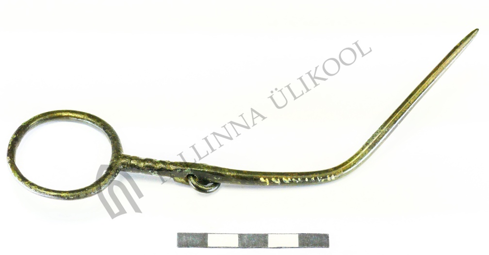 AI-4444:184 Lehmja-Loo II tarandkalme, rõngaspeaga ehtenõel (f. Mari-Liis Posti)