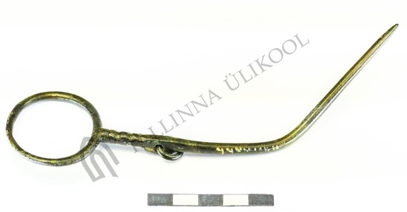 AI-4444:184 Lehmja-Loo II tarandkalme, rõngaspeaga ehtenõel (f. Mari-Liis Posti)