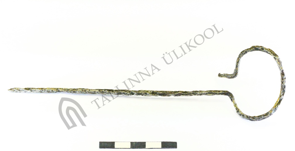 AI-4444:195 Lehmja-Loo II tarandkalme, rõngaspeaga ehtenõel (f. Mari-Liis Posti)