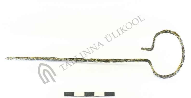 AI-4444:195 Lehmja-Loo II tarandkalme, rõngaspeaga ehtenõel (f. Mari-Liis Posti)