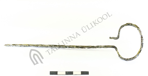 AI-4444:195 Lehmja-Loo II tarandkalme, rõngaspeaga ehtenõel (f. Mari-Liis Posti)