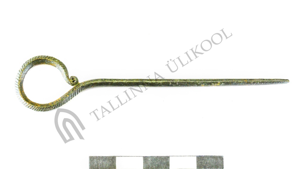 AI-4444:232 Lehmja-Loo II tarandkalme, karjasekeppnõel (f. Mari-Liis Posti)