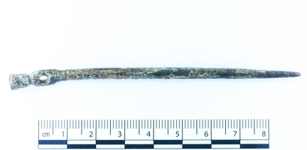 AI-4560:124 Kuninguste kalme, koonuspeaga ehtenõel (f. Mari-Liis Posti)