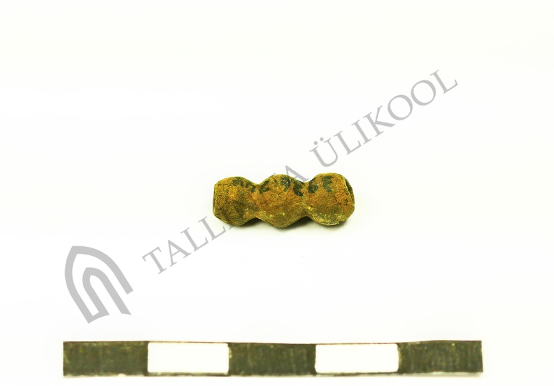AI-3236:744 Jaagupi kalme (f. Mari-Liis Posti)