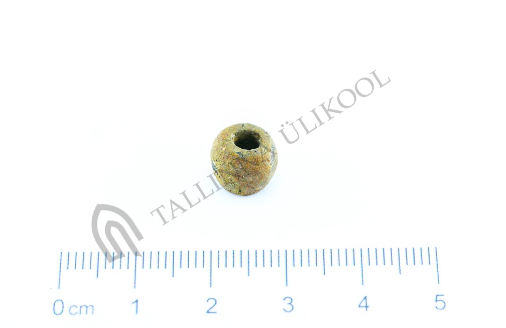 AI-4161:33 Virunuka kalme (f. Mari-Liis Posti)