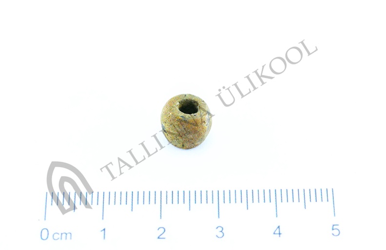 AI-4161:33 Virunuka kalme (f. Mari-Liis Posti)