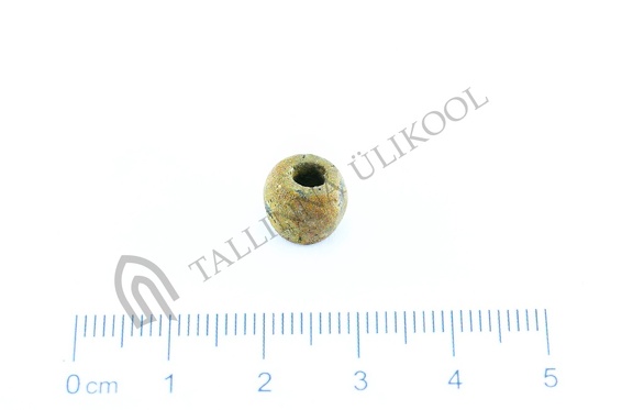 AI-4161:33 Virunuka kalme (f. Mari-Liis Posti)