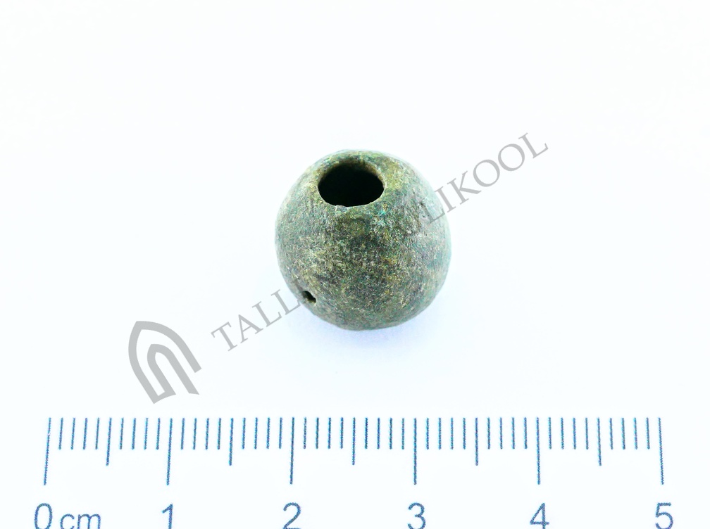 AI-4161:380 Virunuka kalme (f. Mari-Liis Posti)